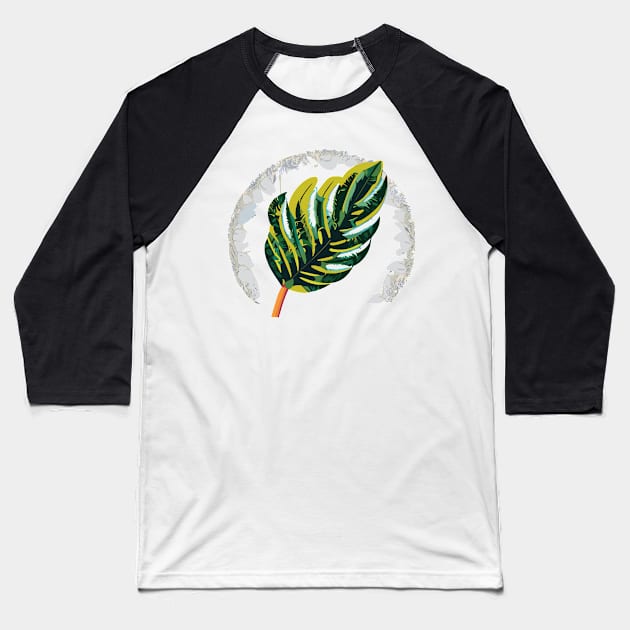 foliage Baseball T-Shirt by goingplaces